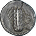 Coin, Lucania, Stater, 470-440 BC, Metapontion, EF(40-45), Silver
