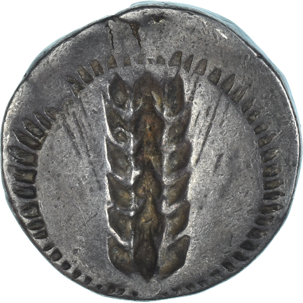 Coin, Lucania, Stater, 470-440 BC, Metapontion, EF(40-45), Silver