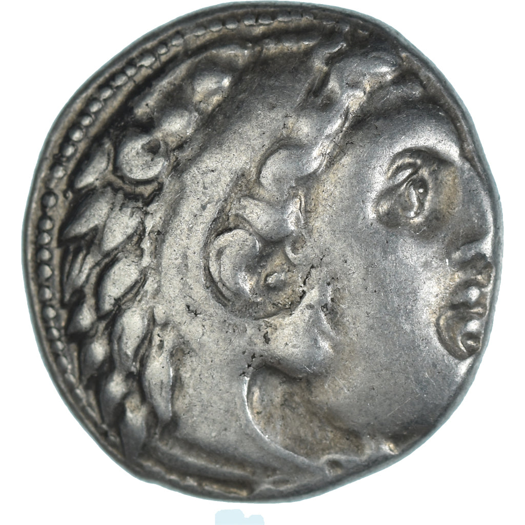 Monnaie, Royaume de Macedoine, Antigonos I Monophthalmos, Drachme, 310-301 BC