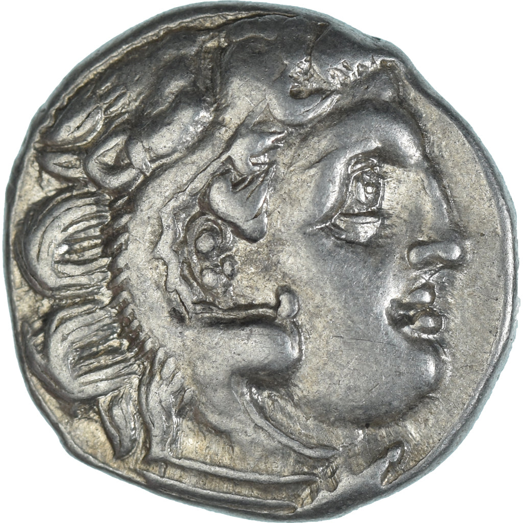 Monnaie, Royaume de Macedoine, Antigonos I Monophthalmos, Drachme, 310-301 BC
