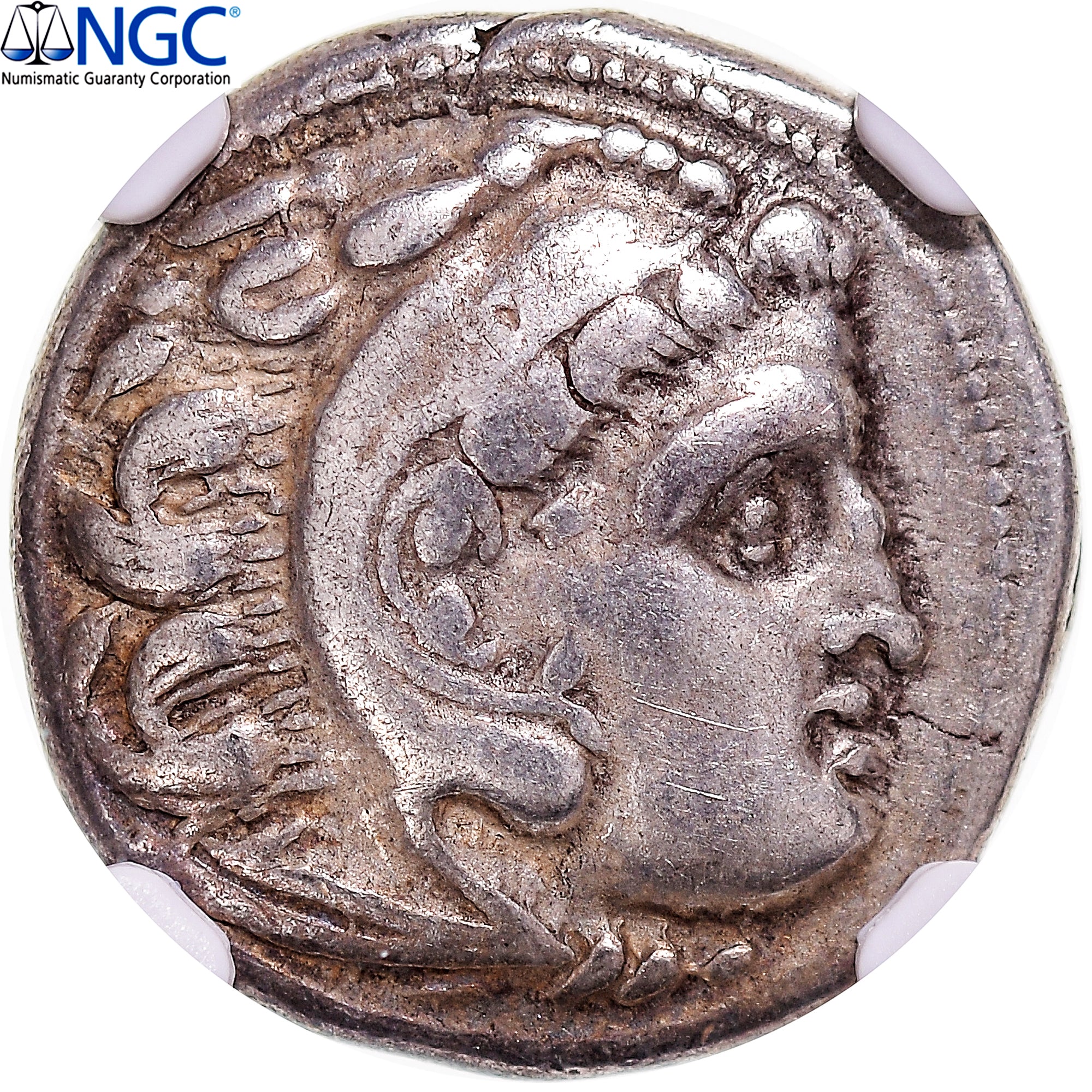 Coin, Thrace, Lysimachos, Drachm, 305-281 BC, Kolophon, graded, NGC, F