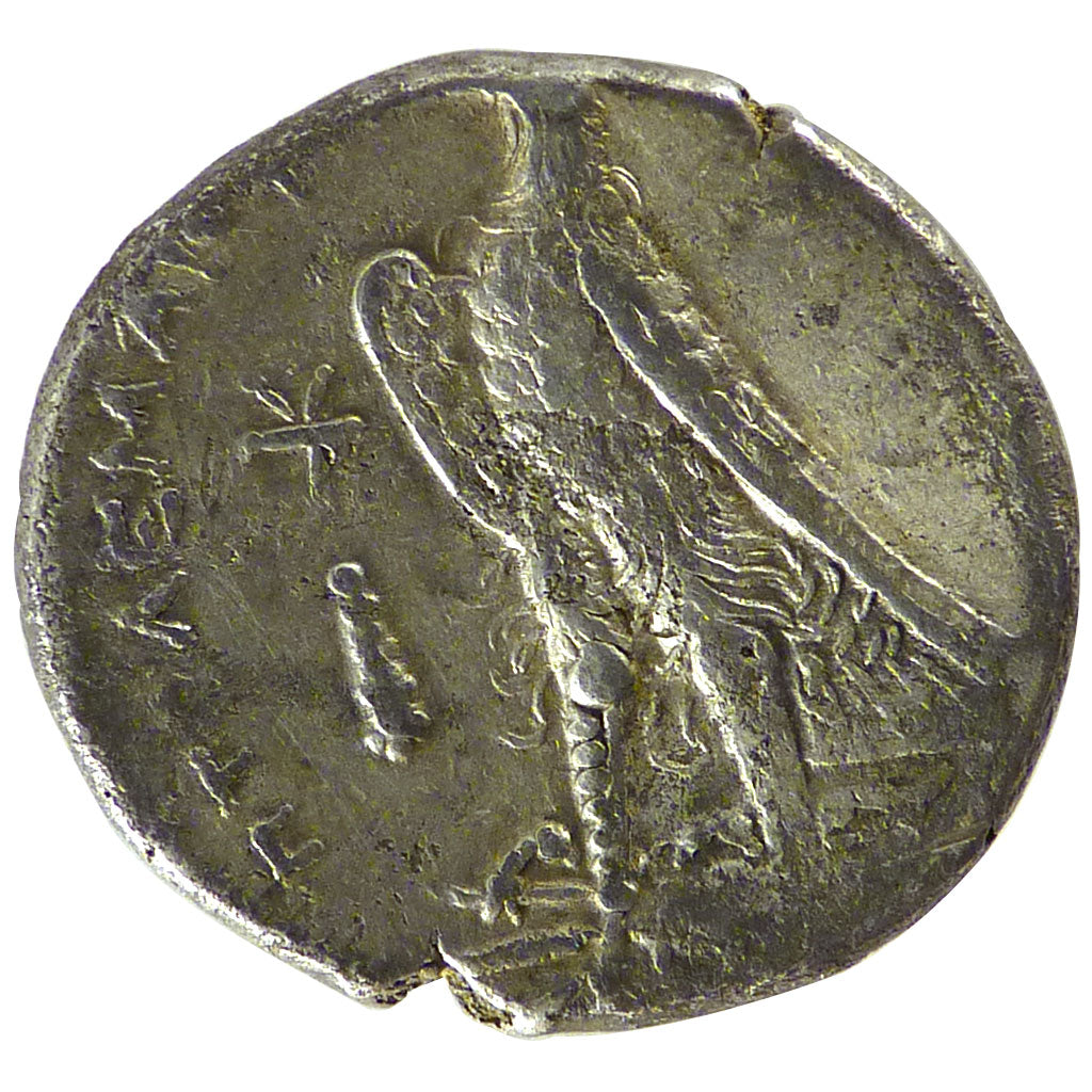Egypt, Ptolemy II (285-246 BC), Tetradrachm, EF(40-45), Silver, Pozzi #3210,...