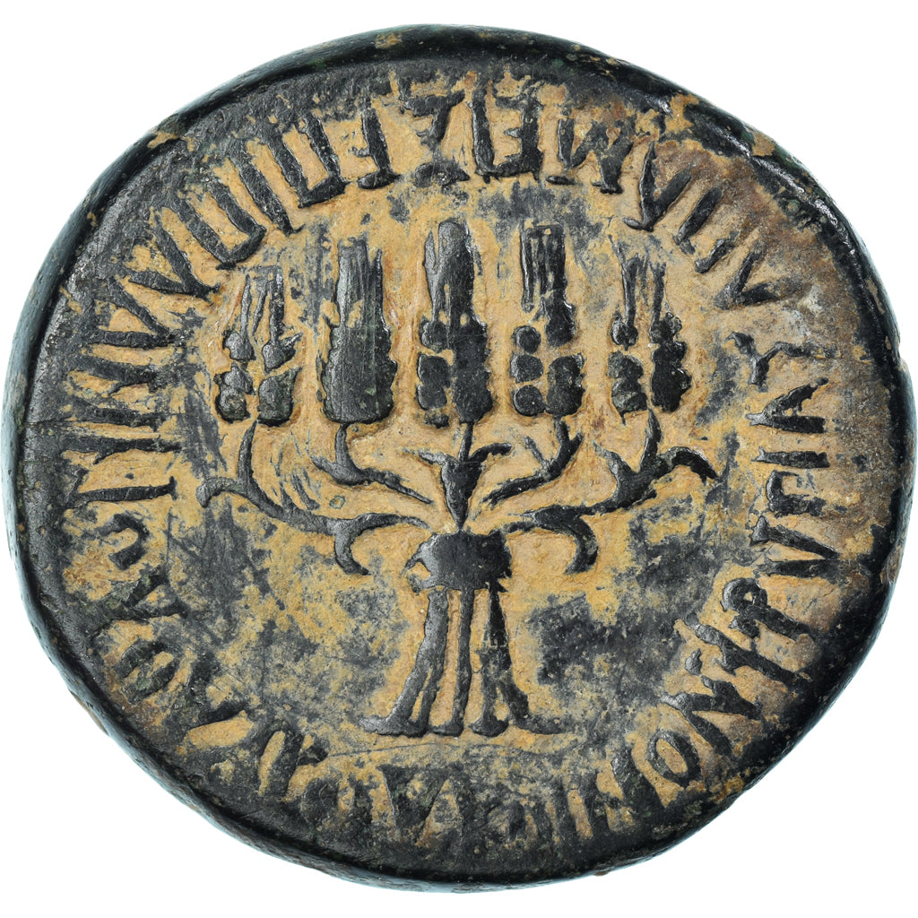 Coin, Phrygia, Vespasian, Æ, 69-79, Apameia, VF(30-35), Bronze, RPC:1389