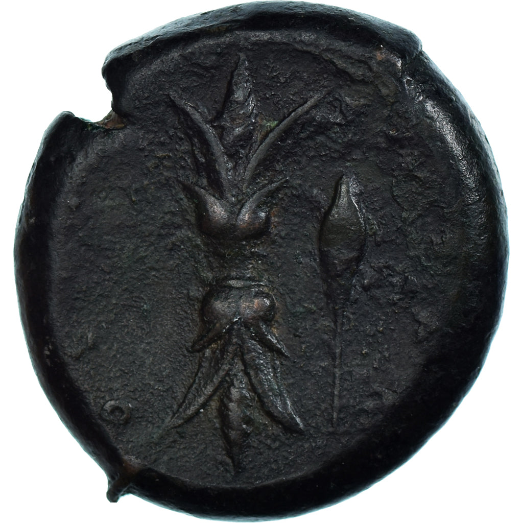 Coin, Sicily, Hemidrachm, ca. 344-338 BC, Syracuse, EF(40-45), Bronze