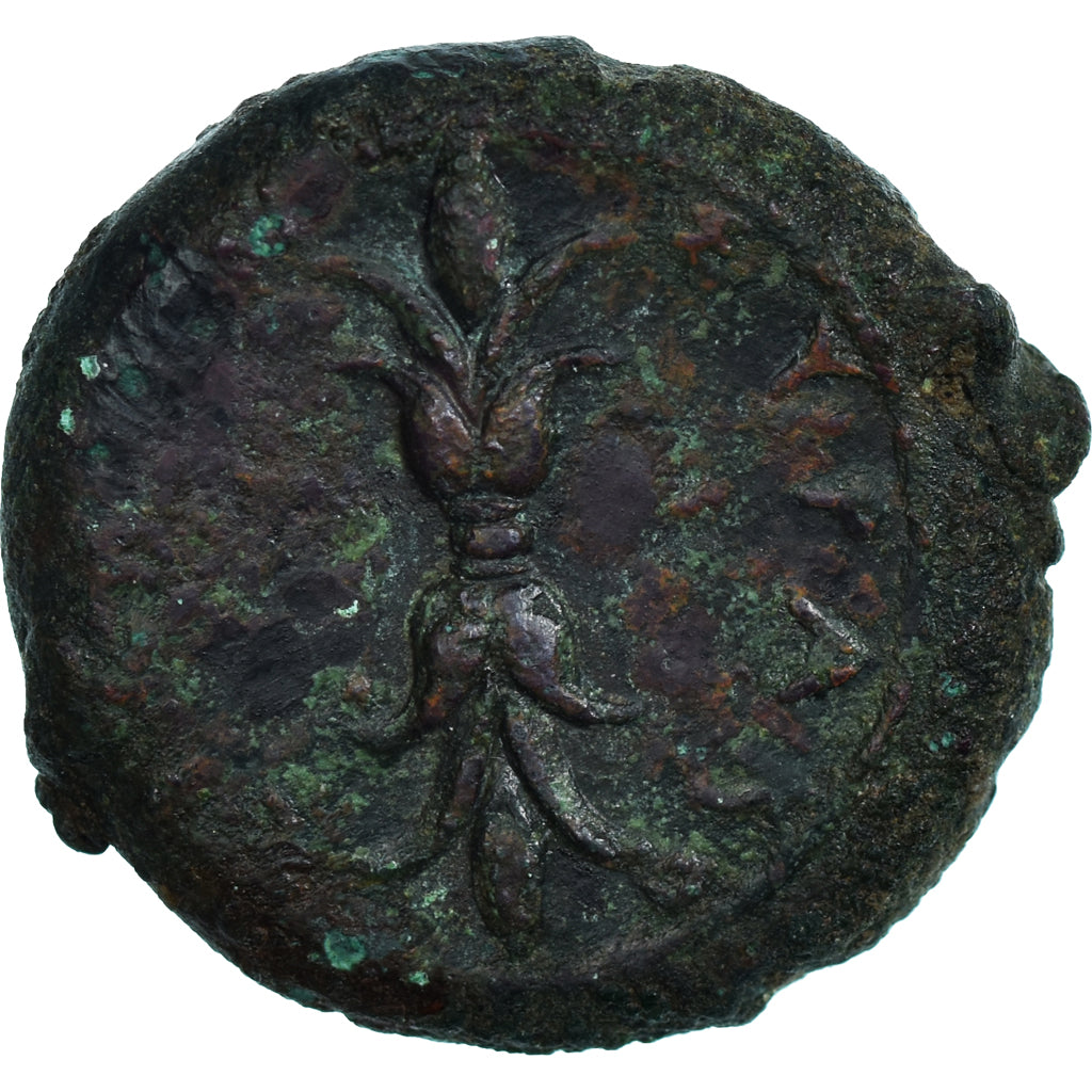 Münze, Sicily, Æ, ca. 344-338 BC, Syracuse, SS+, Bronze, SNG-ANS:470-1