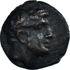 Coin, Thessaly, Dichalkon, Late 4th century BC, Phalanna, AU(50-53), Bronze