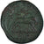 Moeda, Pisidia, Severus Alexander, Æ, 222-235, Antioch, EF(40-45), Bronze