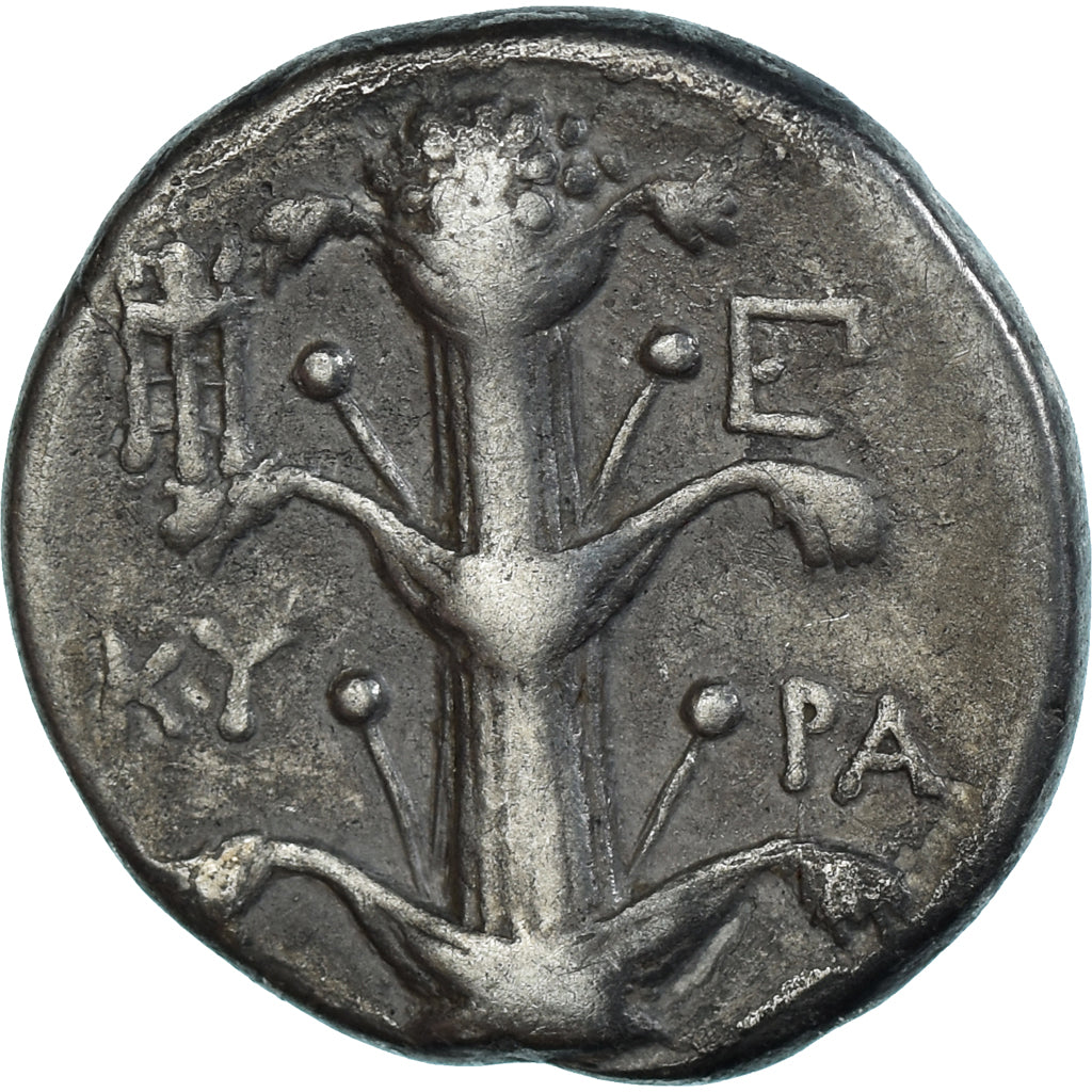 Coin, Kyrenaica, Magas, Didrachm, ca. 294-275 BC, Kyrene, EF(40-45), Silver