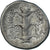 Moneda, Kyrenaica, Magas, Didrachm, ca. 294-275 BC, Kyrene, MBC, Plata, BMC:255