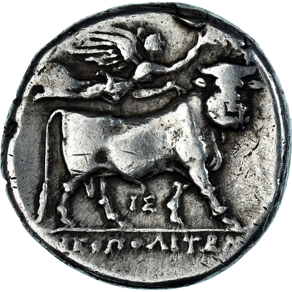 Coin, Campania, Didrachm, ca. 325-241 BC, Neapolis, EF(40-45), Silver, HGC:1-454
