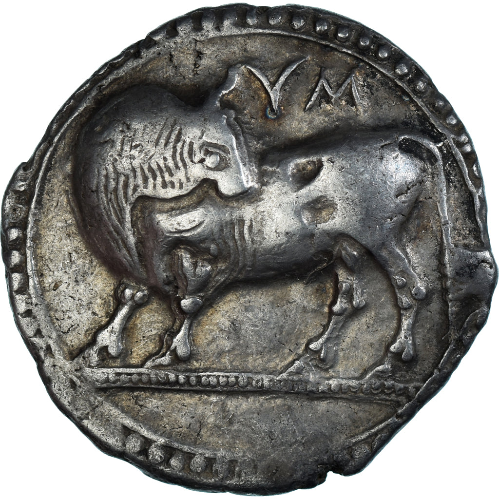 Munten, Lucanië, Stater, ca. 530-510 BC, Sybaris, ZF+, Zilver, HGC:1-1231