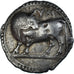 Munten, Lucanië, Stater, ca. 530-510 BC, Sybaris, ZF+, Zilver, HGC:1-1231