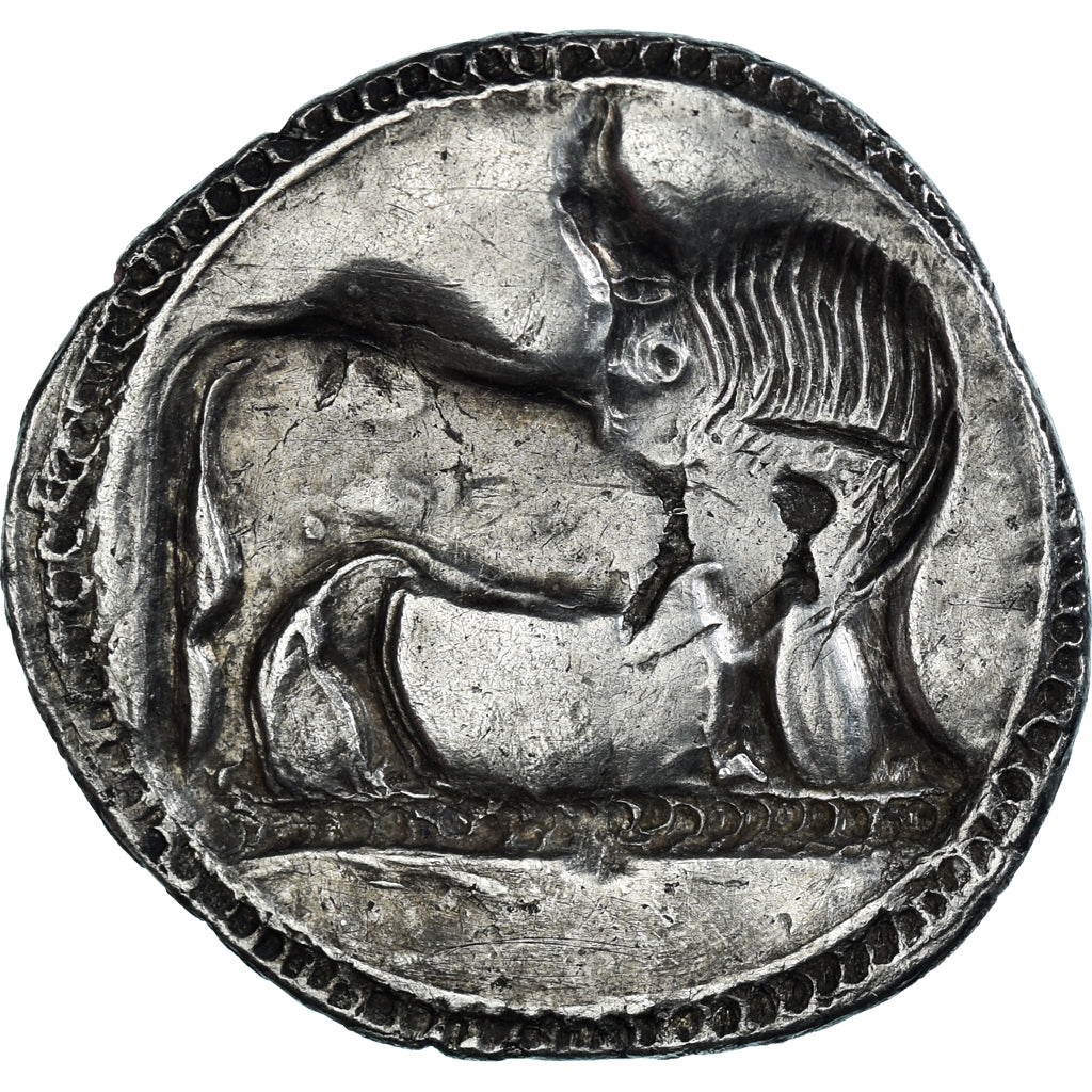 Moneda, Lucania, Stater, ca. 530-510 BC, Sybaris, MBC, Plata, HGC:1-1231