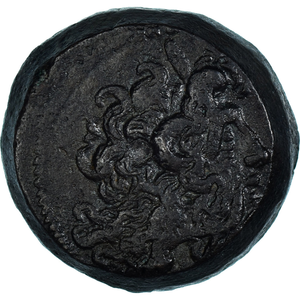 Monnaie, Égypte, Ptolémée IX à Ptolémée XII, Æ, 116-51 BC, Alexandrie