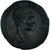Monnaie, Mésie Inférieure, Diaduménien, Æ, 217-218, Nicopolis ad Istrum, TTB