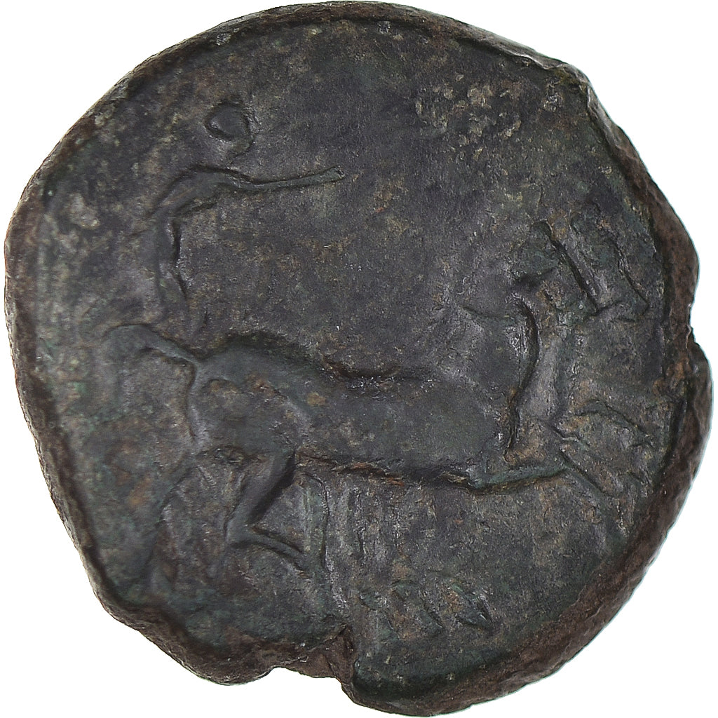 Coin, Sicily, Æ, ca. 287-278 BC, Syracuse, EF(40-45), Bronze, HGC:2-1466