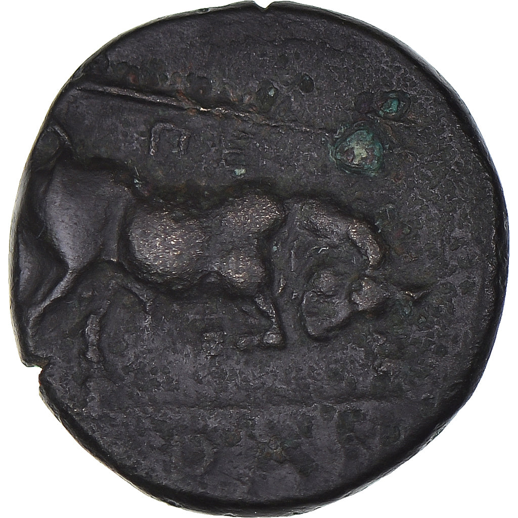 Munten, Thessalië, Æ, ca. 350-300 BC, Krannon, ZF+, Bronzen, HGC:4-391