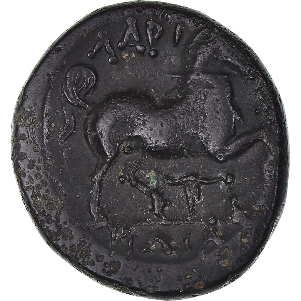 Moneta, Tesalia, Æ, ca. 380-337 BC, Larissa, EF(40-45), Brązowy, HGC:4-517