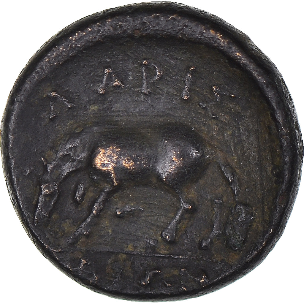 Moneta, Thessaly, Æ, mid 4th century BC, Larissa, BB+, Bronzo, HGC:4-535