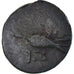 Moneta, Sikonia, Æ, ca. 225-200 BC, Sikyon, EF(40-45), Brązowy, HGC:5-276