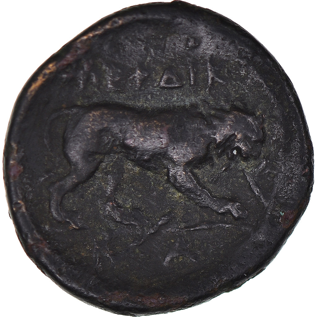 Coin, Kingdom of Macedonia, Perdikkas III, Æ, 365-359 BC, VF(30-35), Bronze
