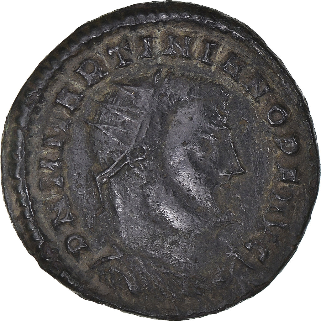 Monnaie, Martinian, Follis, 324, Nicomédie, TTB, Bronze, RIC:VII-46