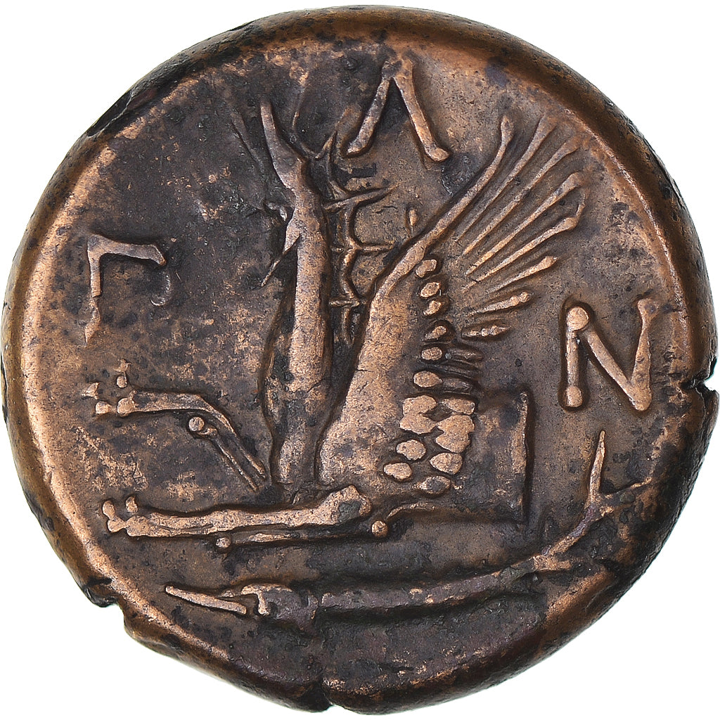 Coin, Cimmerian Bosporos, Æ, ca. 325-310 BC, Pantikapaion, AU(55-58), Bronze
