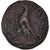 Moneda, Egypt, Ptolemy VI, Æ, Alexandria, MBC, Bronce