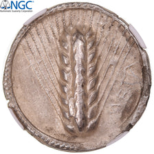 Münze, Lucania, Stater, ca. 540-510 BC, Metapontion, graded, NGC, Ch VF edge
