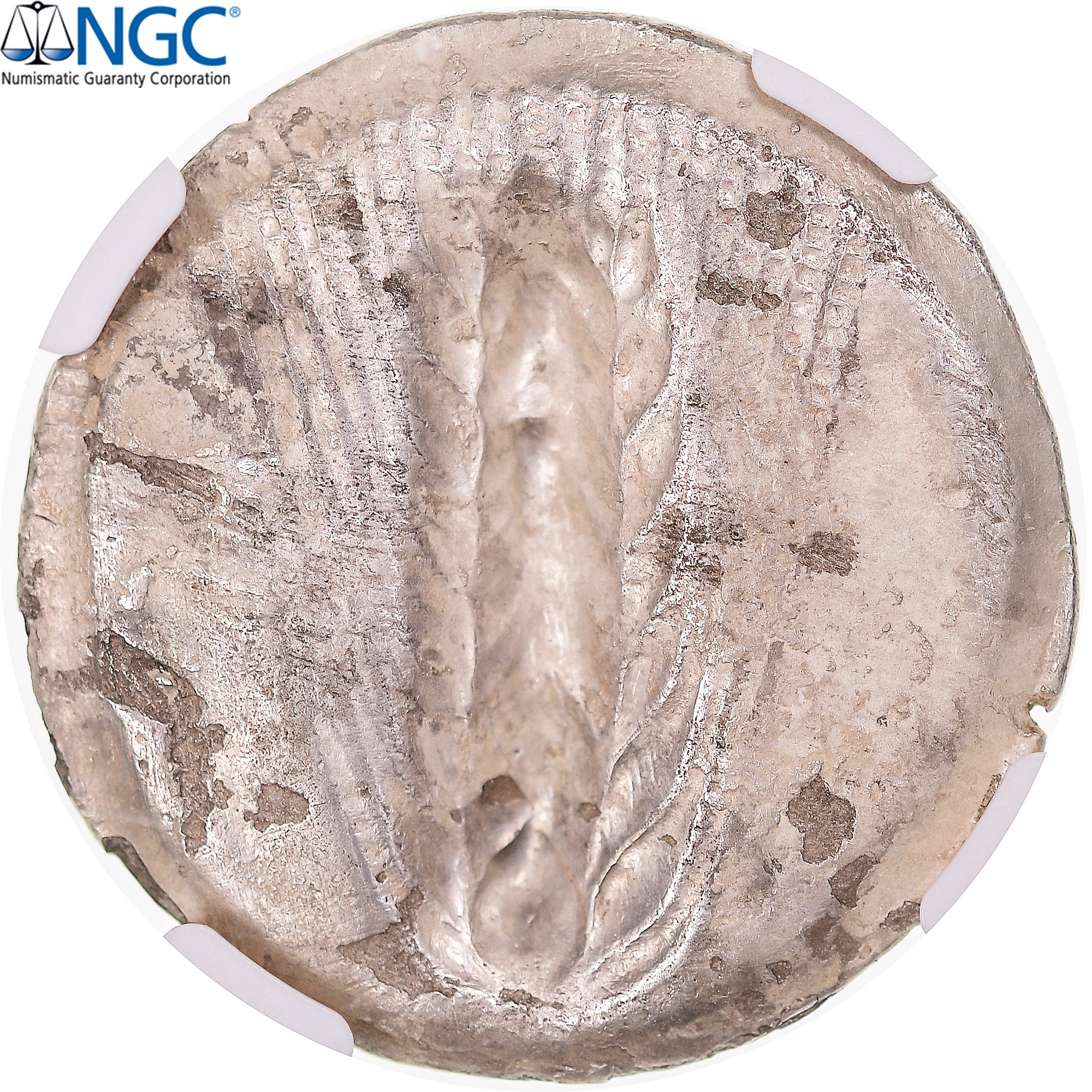 Münze, Lucania, Stater, ca. 540-510 BC, Metapontion, graded, NGC, Ch VF edge