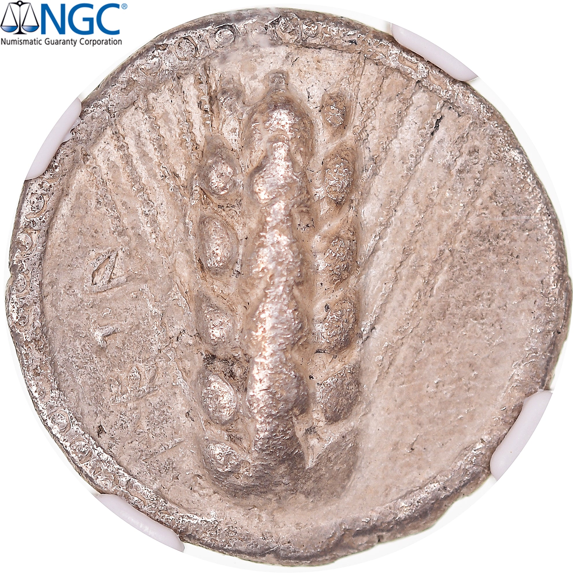Coin, Lucania, Stater, ca. 510-470 BC, Metapontion, graded, NGC, VF, VF(20-25)