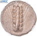 Coin, Lucania, Stater, ca. 510-470 BC, Metapontion, graded, NGC, VF, VF(20-25)