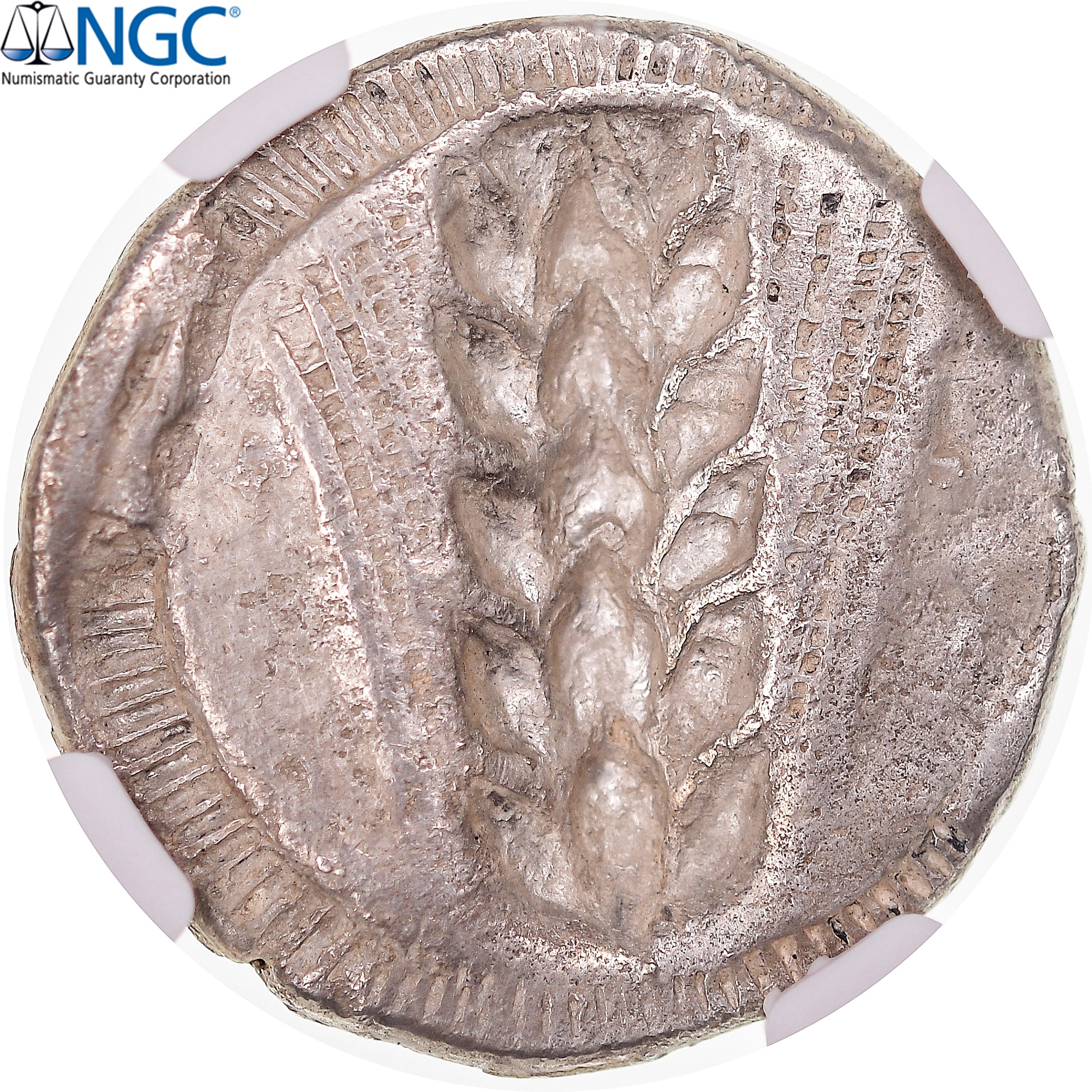 Coin, Lucania, Stater, ca. 510-470 BC, Metapontion, graded, NGC, VF, VF(20-25)