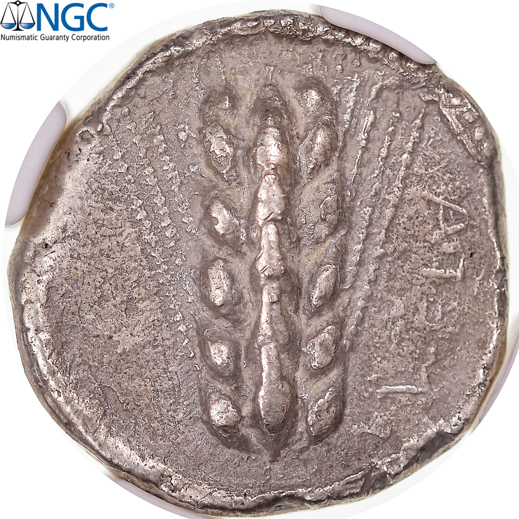 Coin, Lucania, Stater, ca. 470-440 BC, Metapontion, graded, NGC, VF, EF(40-45)