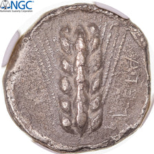 Coin, Lucania, Stater, ca. 470-440 BC, Metapontion, graded, NGC, VF, EF(40-45)