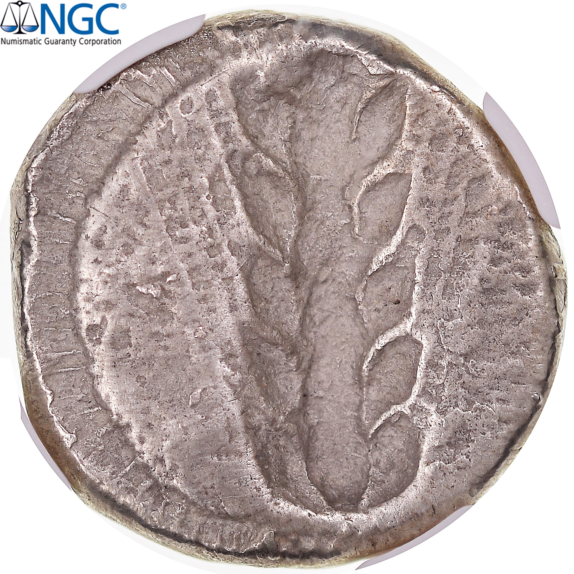 Coin, Lucania, Stater, ca. 470-440 BC, Metapontion, graded, NGC, VF, EF(40-45)