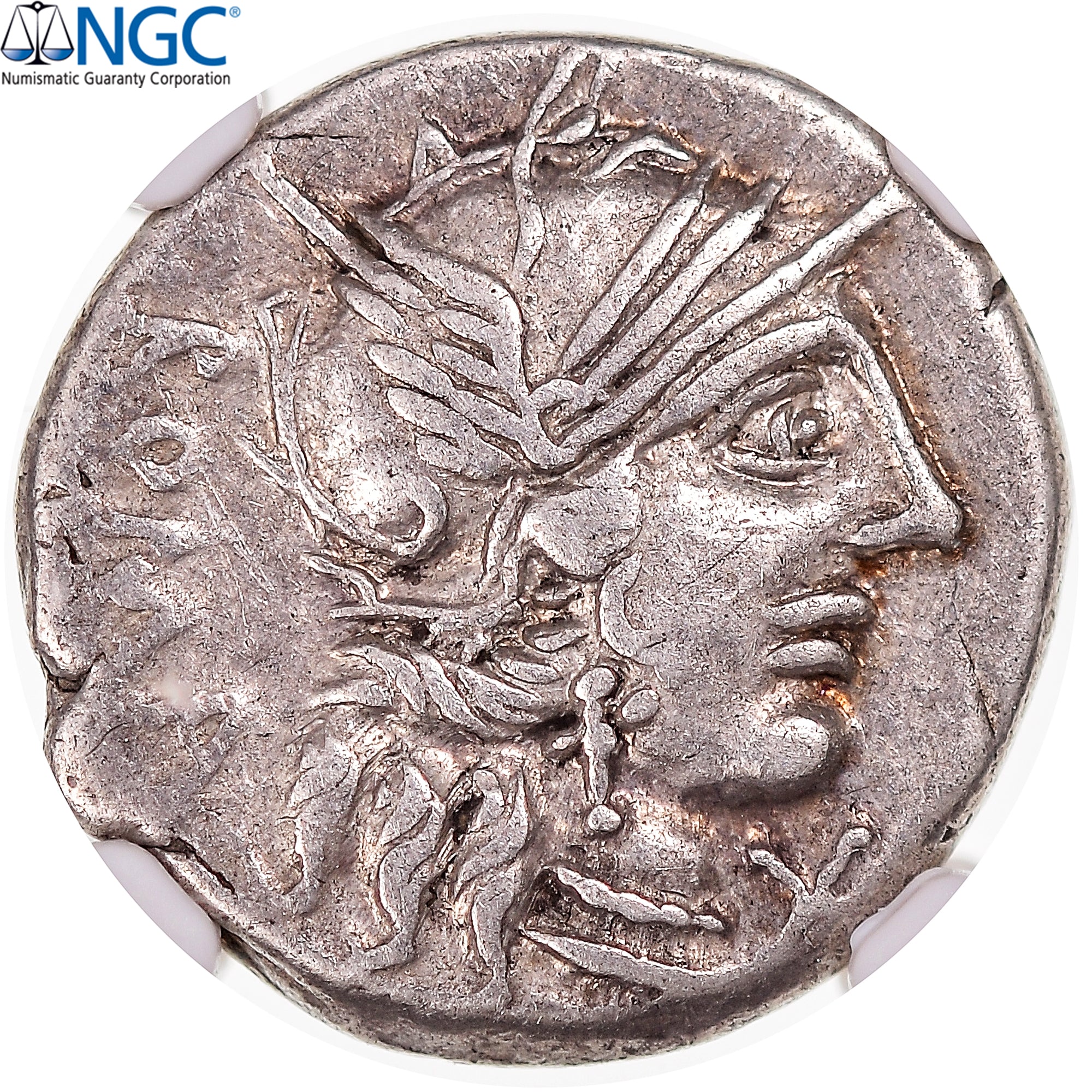 Moneta, Fannia, Denarius, ca. 123 BC, Rome, graded, NGC, Ch VF 5/5 4/5, MB+