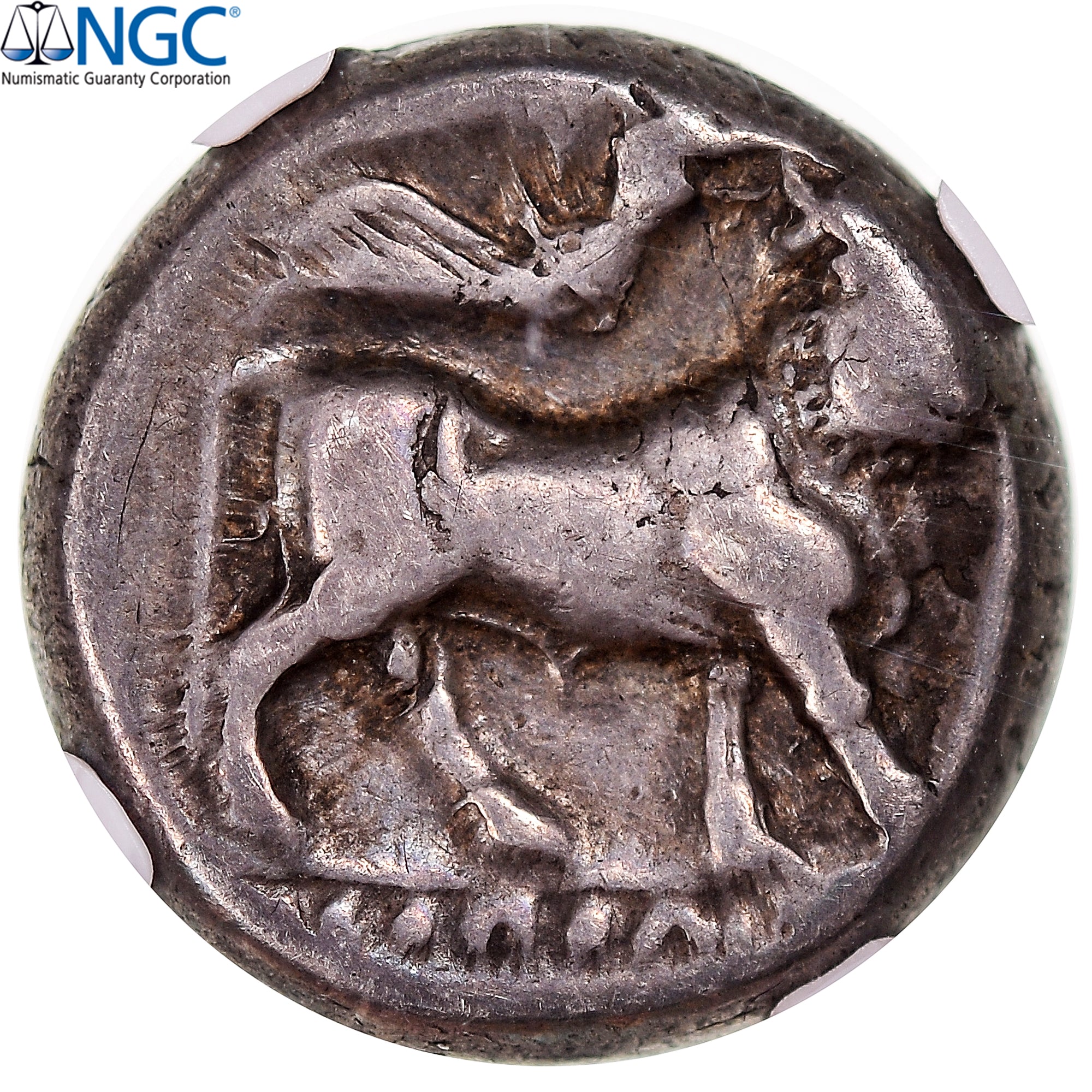 Moeda, Campânia, Didrachm, ca. 300-275 BC, Neapolis, avaliada, NGC, F
