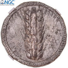Moneda, Lucania, Stater, ca. 510-470 BC, Metapontion, NGC, graded, Ch VF, BC+