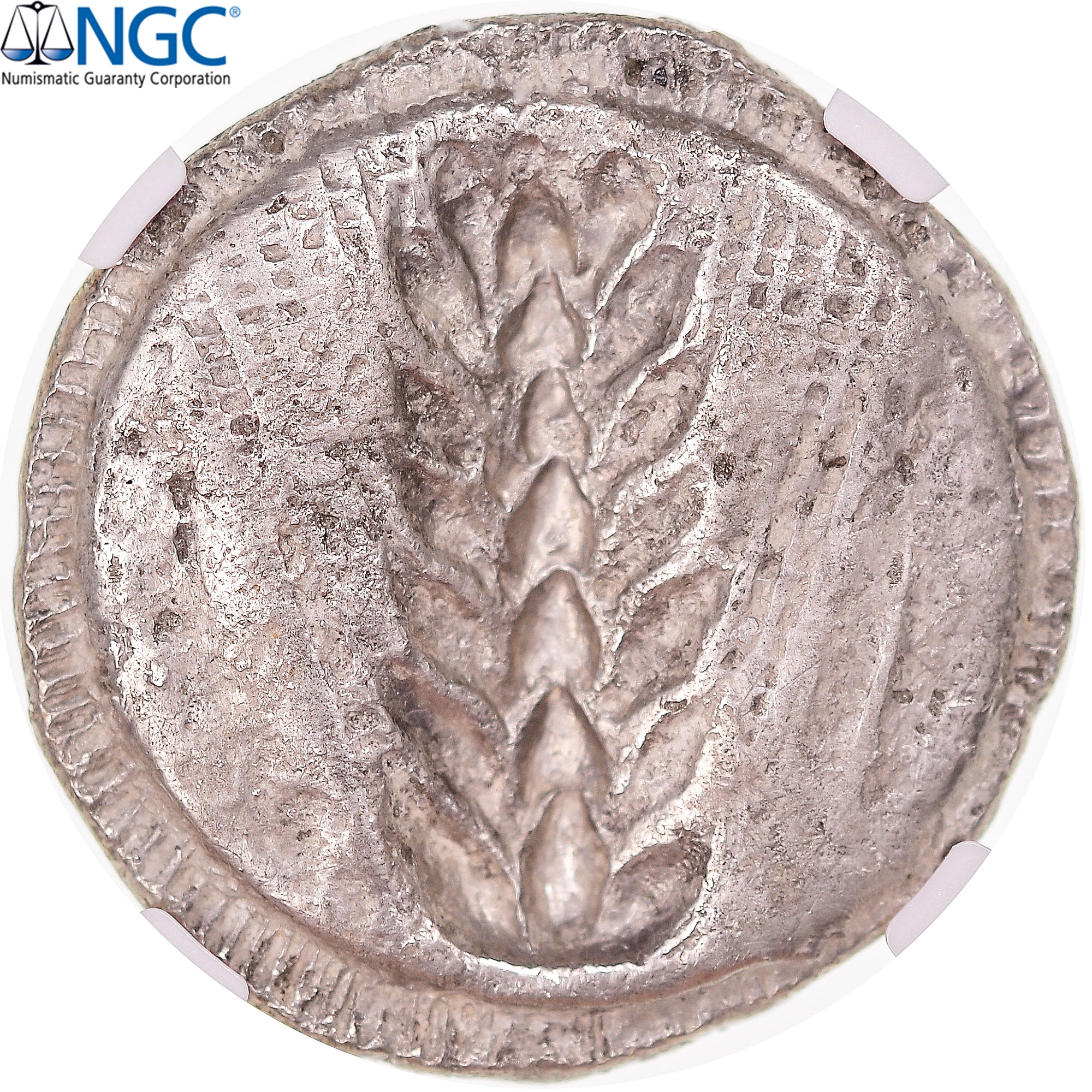 Moneda, Lucania, Stater, ca. 510-470 BC, Metapontion, NGC, graded, Ch VF, BC+