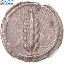 Moneda, Lucania, Stater, ca. 470-440 BC, Metapontion, NGC, graded, XF, MBC