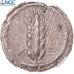 Moneda, Lucania, Stater, ca. 470-440 BC, Metapontion, NGC, graded, XF, MBC