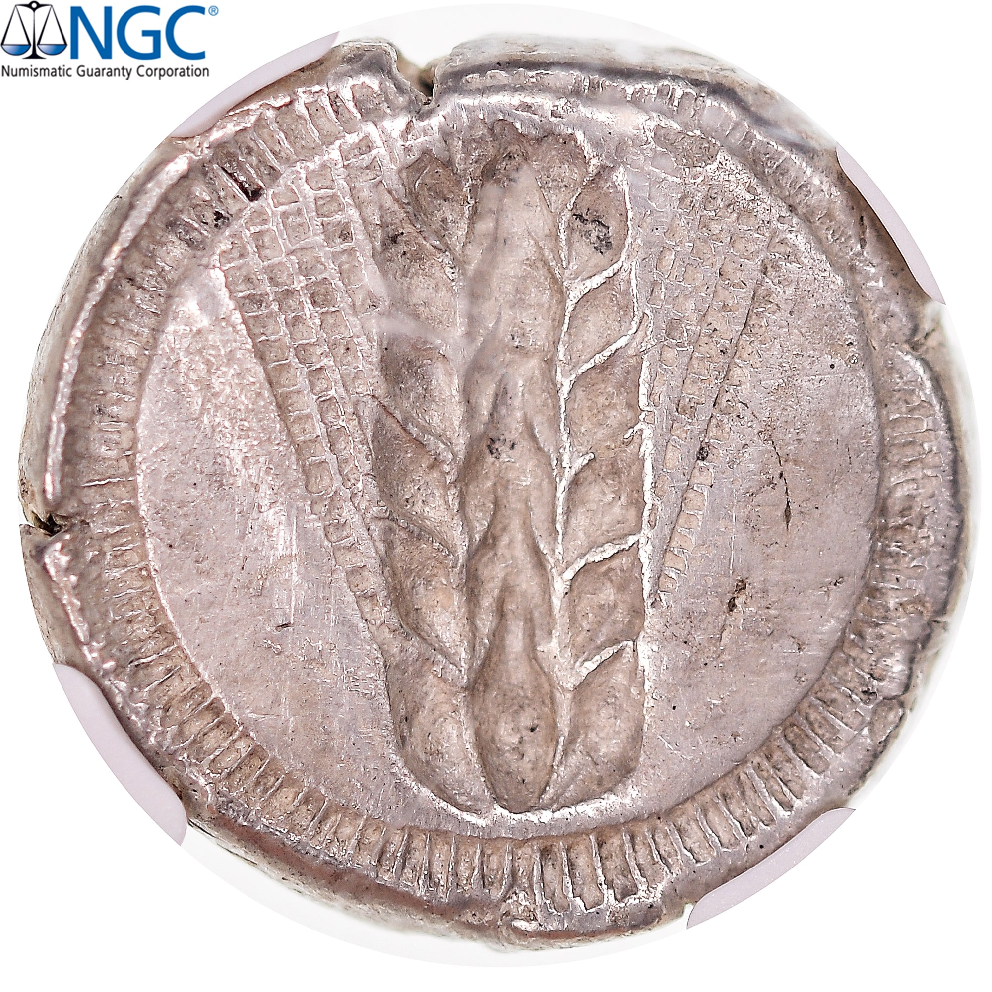 Moneda, Lucania, Stater, ca. 470-440 BC, Metapontion, NGC, graded, XF, MBC