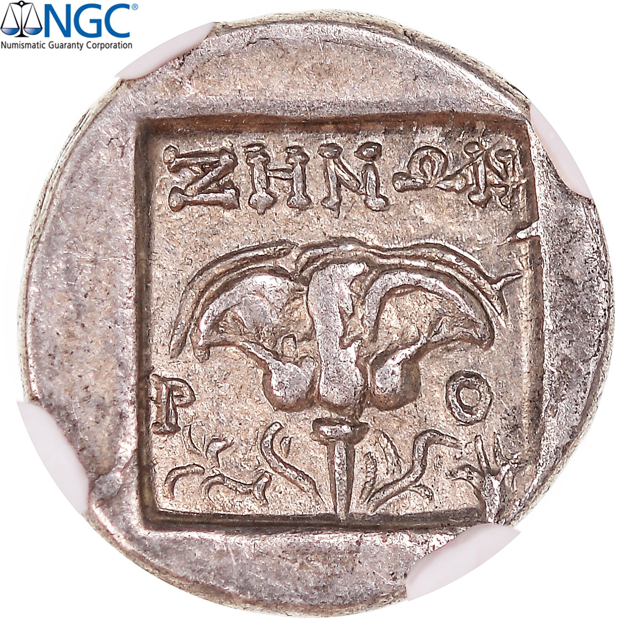 Coin, Islands off Caria, Drachm, ca. 88-84 BC, Rhodes, graded, NGC, VF