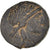 Moneta, Seleukid Kingdom, Seleukos II Kallinikos, Æ, 246-226 BC, MB+, Bronzo