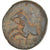 Moneta, Pisidia, Æ, Termessos, MB, Bronzo