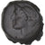 Moeda, Skythia, Æ, ca. 380-360 BC, Olbia, EF(40-45), Bronze, HGC:3-1897