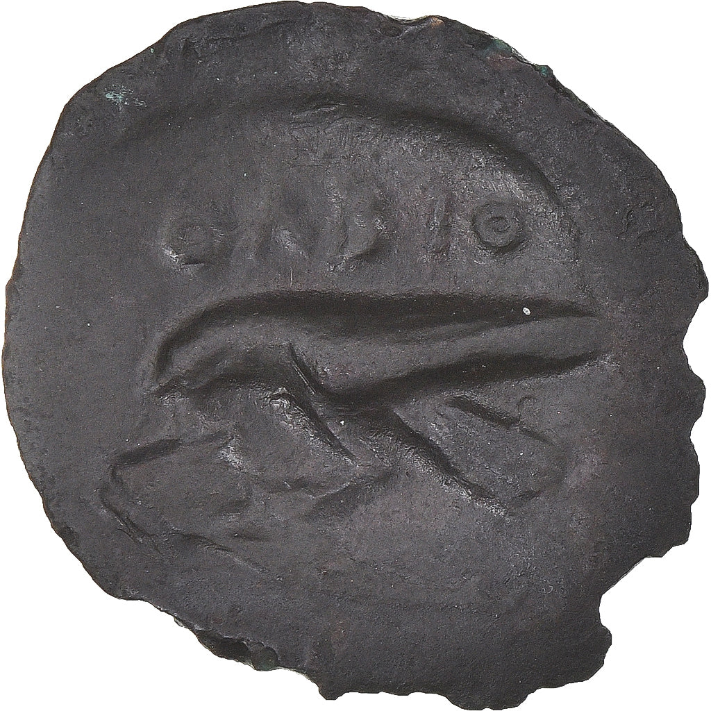 Coin, Skythia, Æ, ca. 380-360 BC, Olbia, EF(40-45), Bronze, HGC:3-1897
