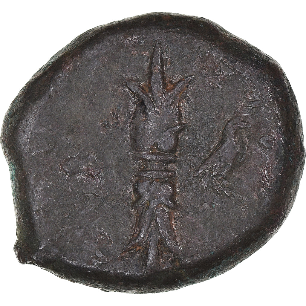 Coin, Sicily, Timoleon, Hemidrachm, ca. 344-339/8 BC, Syracuse, EF(40-45)