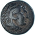 Monnaie, Royaume de Macedoine, Æ, TB+, Bronze